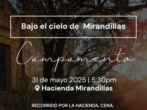 Bajo el cielo de Mirandillas - Campamento | 31 de mayo 2025