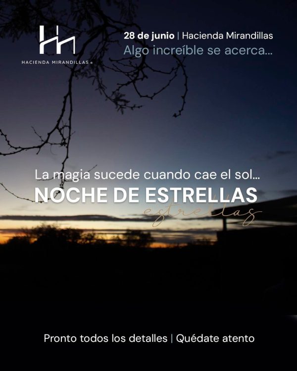 Noche de Estrellas | 28 de Junio 2025